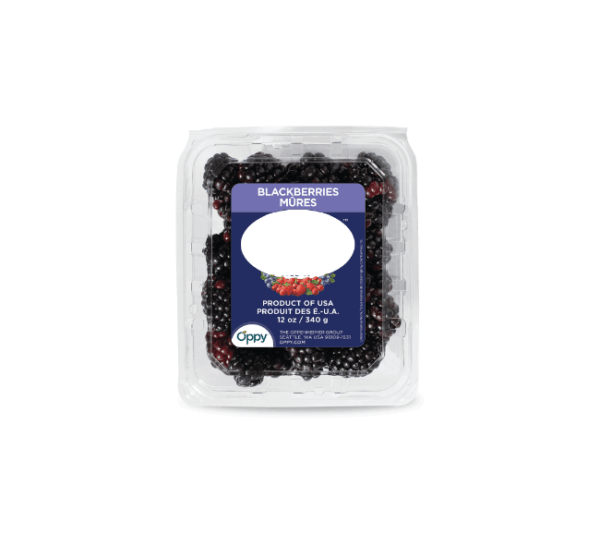 Organic Blueberries Package - Image 4