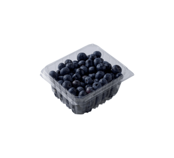 Organic Blueberries Package - Image 2