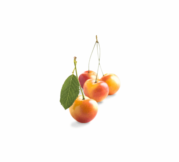 Rainier Cherries - Image 7