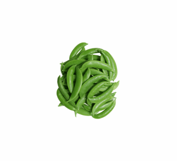 Packed Green Beans - Image 3