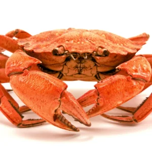 Fresh Crab (per kg)
