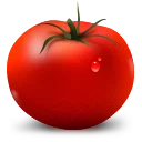 Tomato Pepper Onions